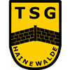 Wappen von TSG Hainewalde