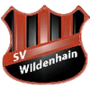SV Wildenhain