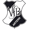 VfB 1919 Artern II