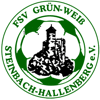 FSV Grün-Weiß Steinbach-Hallenberg II