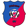 Wappen von Triebeser SV