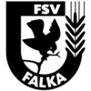 FSV Falka