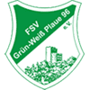 FSV Grün-Weiß Plaue 96
