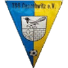 Wappen von TSG Caaschwitz