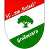Wappen von SV Am Meisel Großmonra