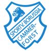 SV Borussia Kammerforst