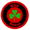 BSV Roxel III