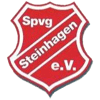 SpVg Steinhagen III