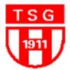Wappen von TSG Fußball Herdecke 1911