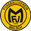 FV Malsch 1910