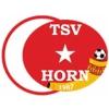 Wappen von Türkischer SV Horn 1987