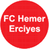 Wappen von FC Hemer Erciyes Türk Sport
