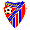 Wappen von FC Ebenau 2006