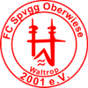 FC Spvgg. Oberwiese 2001 II
