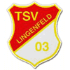 TSV Lingenfeld 03 II