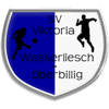 SV Viktoria Wasserliesch-Oberbillig 1919 II