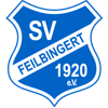 SV Feilbingert 1920 II