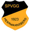 SpVgg Hermannsberg/Welchweiler