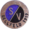SV Dellfeld 1919