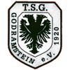 TSG 1920 Godramstein