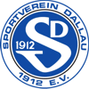SV Dallau 1912