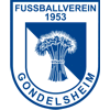 FV Gondelsheim 1953