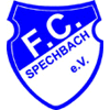 FC Spechbach 1945 II