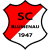 SC Blumenau II
