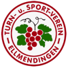 Wappen von TuS Ellmendingen