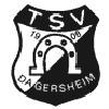TSV Dagersheim II