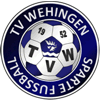 TV Wehingen II