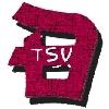 TSV Deizisau 1919