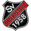 SV Ihrlerstein 1958 II
