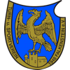 Wappen von TSV Falkenstein 1948