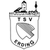 Wappen von FC Erding