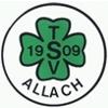 Wappen von TSV Allach 09 München