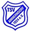Wappen von TSV Ammerndorf 1924