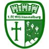 Wappen von 1. FC 1913 Hammelburg
