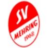 SV Mehring 1968