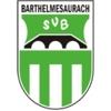 SV Barthelmesaurach II