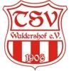 TSV Waldershof 1906 II