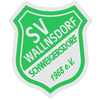 DJK-SV Wallnsdorf/Schweigersdorf II