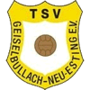 TSV Geiselbullach Neu-Esting