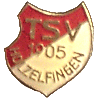TSV Holzelfingen 1905