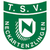 TSV Neckartenzlingen 1888