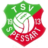 Wappen von TSV 1913 Spessart