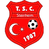 Wappen von Türkischer SC Steinheim 1987