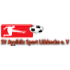 Wappen von SV Ayyildiz Sport Lübbecke