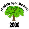 FV Anadolu Spor Marbach 2000