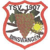 Wappen von TSV Binswangen 1907